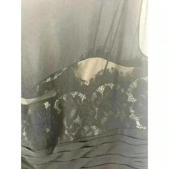 Ann Taylor Loft Sheer with Black Lace Overlay Silk Cocktail/Party Dress Size 2 - Picture 5 of 6